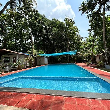 King Villa Goa パロレム エクステリア 写真