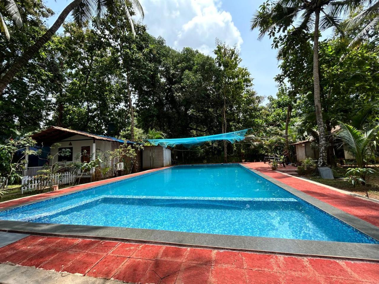 King Villa Goa パロレム エクステリア 写真