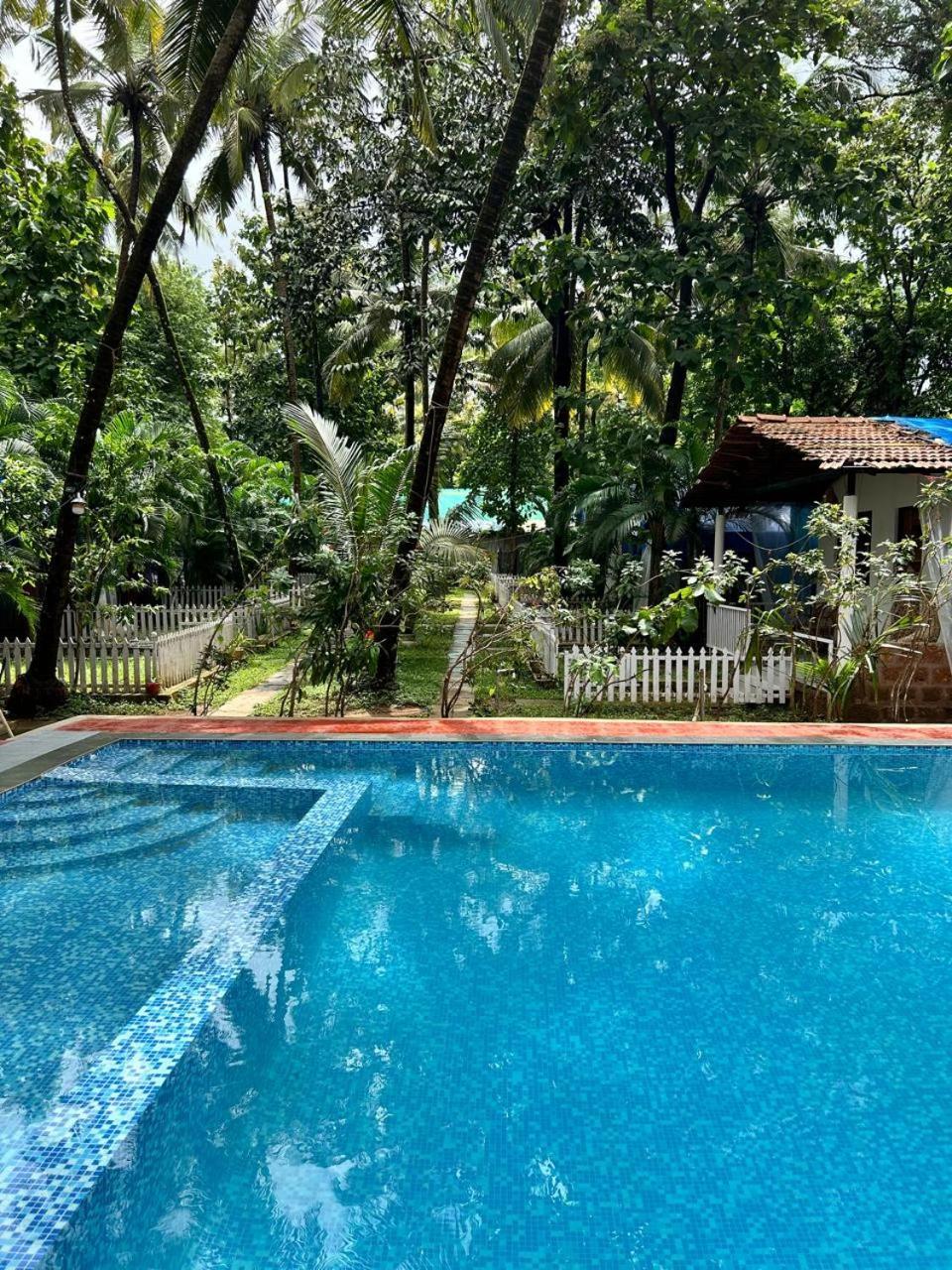 King Villa Goa パロレム エクステリア 写真