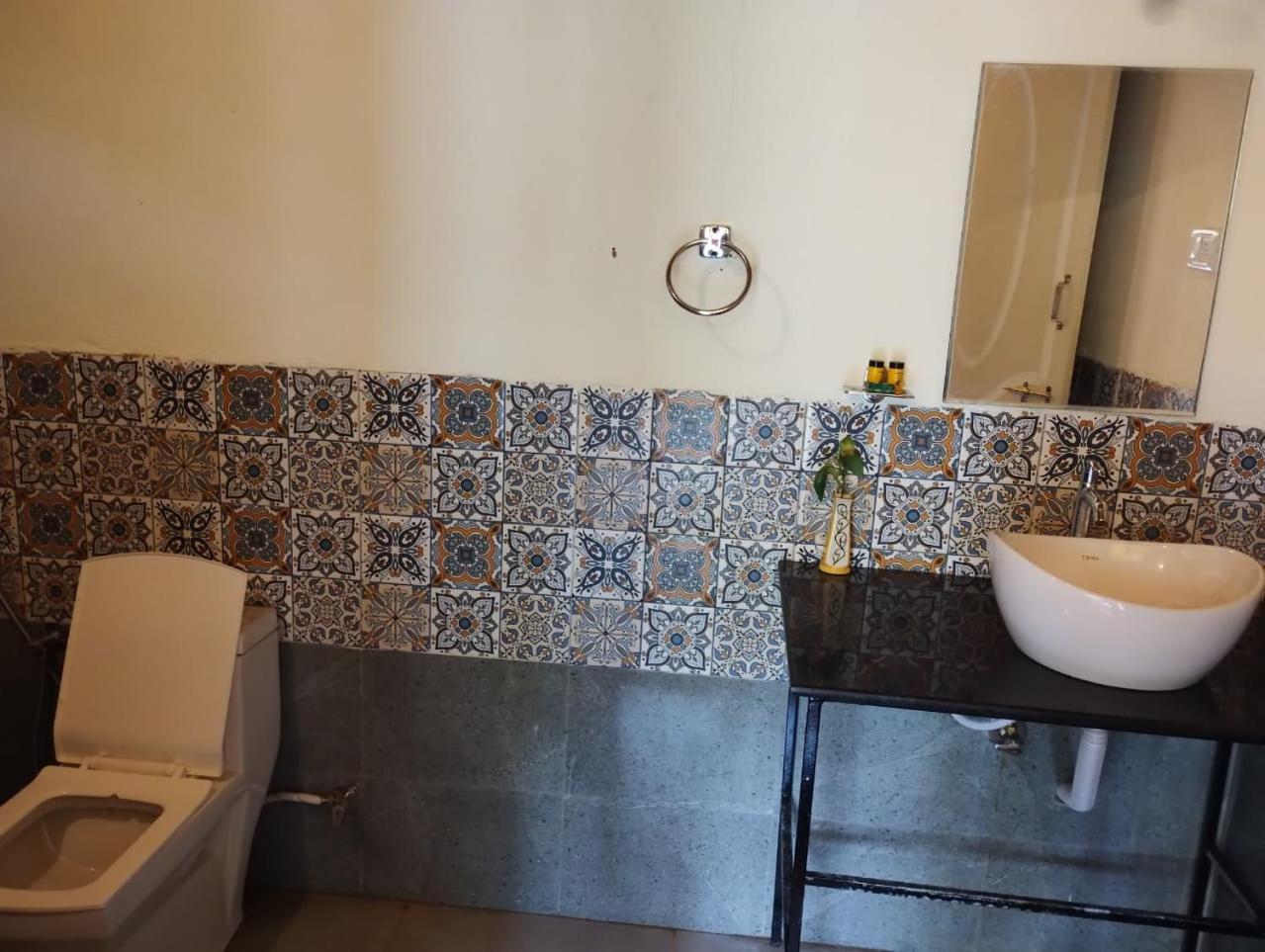 King Villa Goa パロレム エクステリア 写真