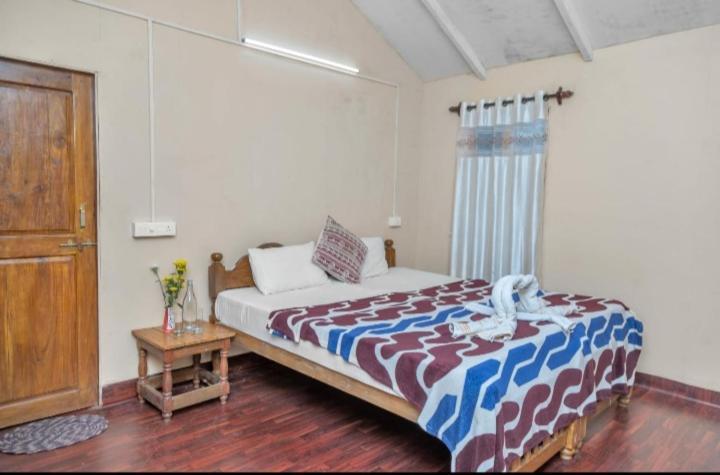 King Villa Goa パロレム エクステリア 写真
